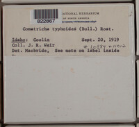Image Associated With the Occurence